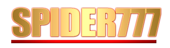 Logo Spider777